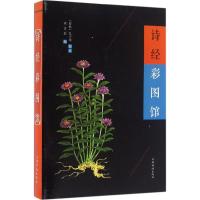 诗经彩图馆 (春秋)孔子 等 编选;沐言非 编;刘凤珍 丛书主编 文学 文轩网