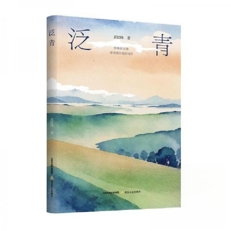 正版新书】泛青王纪峰 著9787537868679