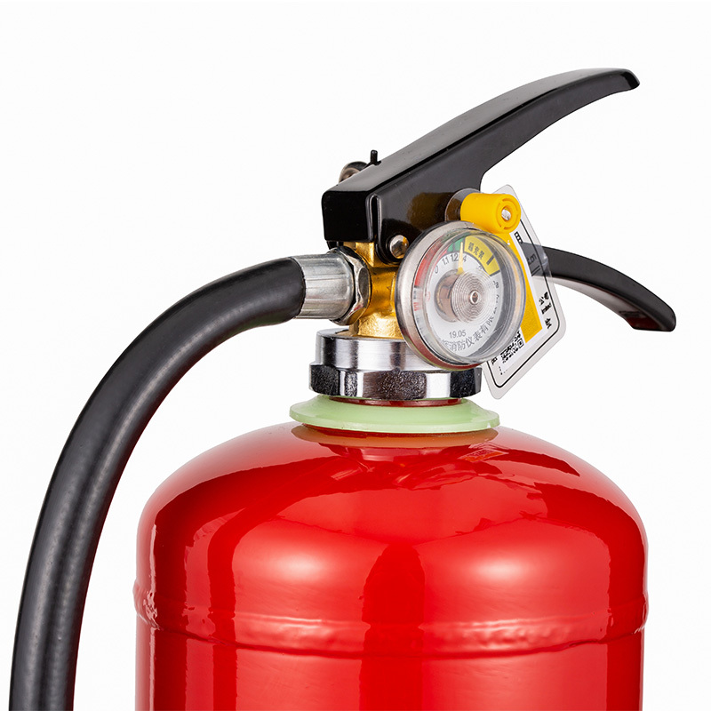 神龙 灭火器 增强型水基型(水雾)环保灭火器3升 车载家用及商用灭火器3L MSWZ/3-II 消防器材
