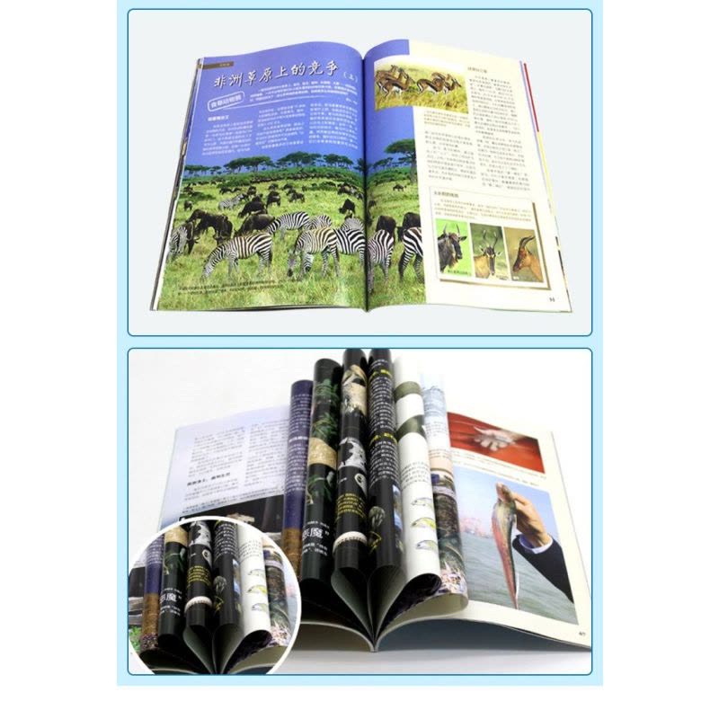 V[全年订阅]博物+问天少年2024年1-12月 [正版]博物杂志2023年1-10/11/12月/2024年送4本全年图片