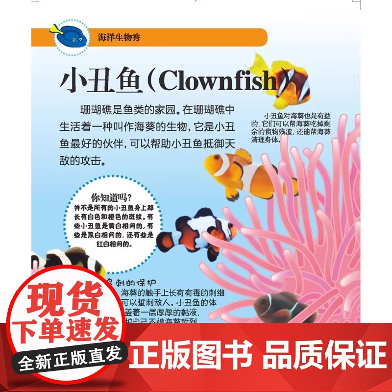 DK幼儿创意思维训练(套装全4册)虫虫总动员 海洋生物秀 农场动物们 人体大冒险亲子共读互动思维训练书 精装多版本可选高清大图