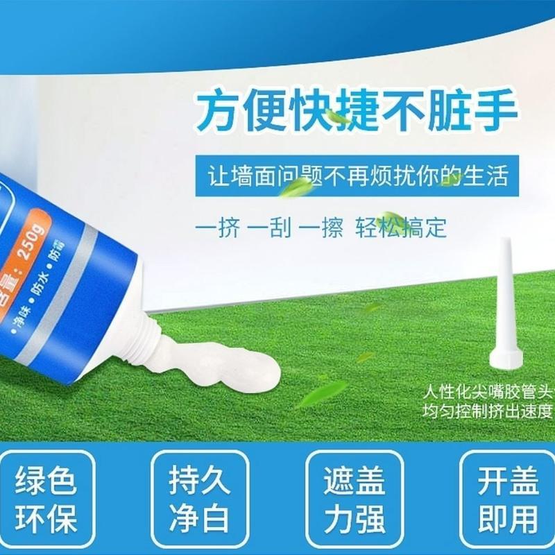 1支试用装(送工具) 补墙膏墙面修补膏白色墙体防水腻子膏腻子粉内墙刷墙涂料家用神器