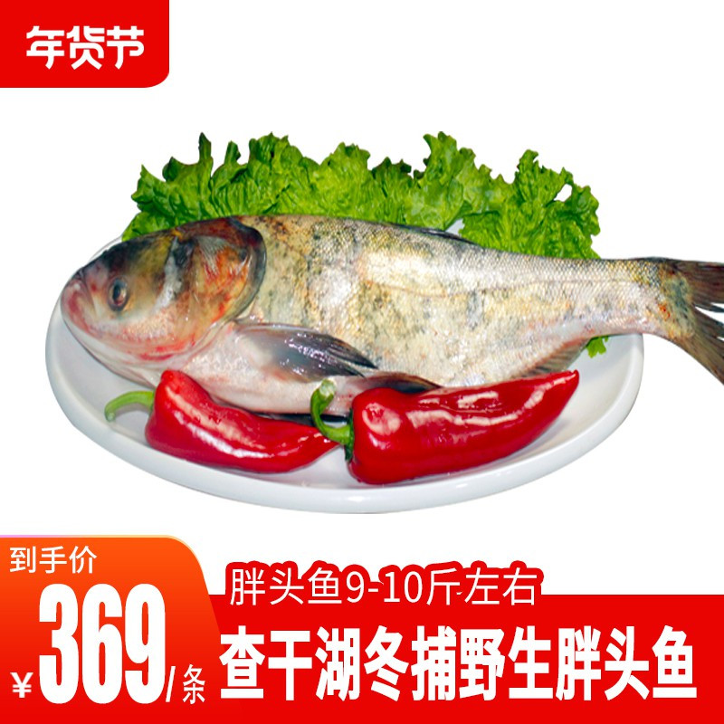 查干湖鱼类查干湖野生冷冻有机胖头鱼9 10斤查干湖鱼冬捕野生鱼 价格图片品牌报价 苏宁易购万青农场小红马生鲜专营店