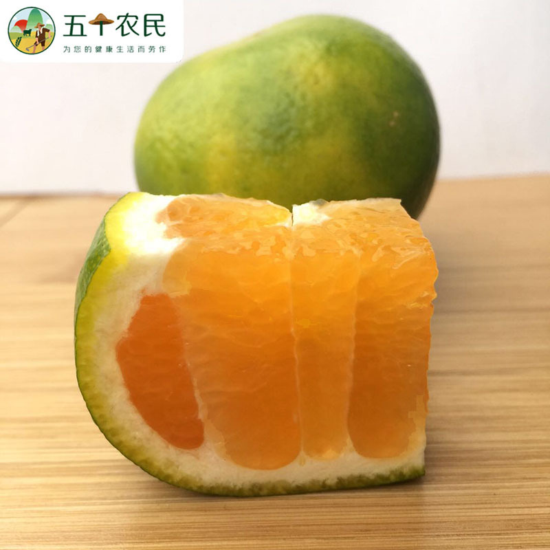 [五个农民]宜昌蜜桔3斤装青皮无籽蜜桔新鲜酸甜蜜橘桔子新鲜水果