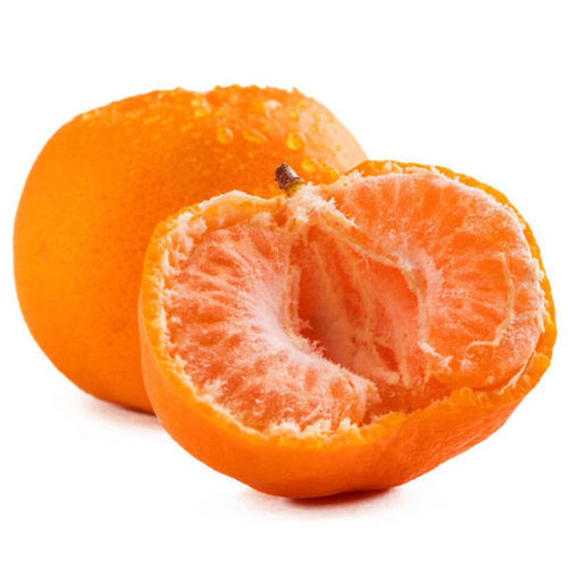 长泰状元蜜桔多少钱一斤(长泰县状元是何人)