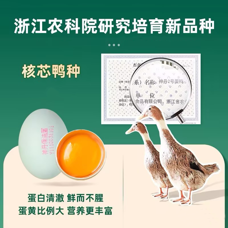 神丹12枚VE鲜鸭蛋高清大图