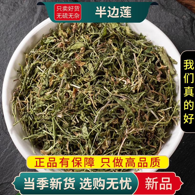 甄选半边莲100克干货新货正品官方店半边莲新货半边莲半边细米草半边莲9260高清大图