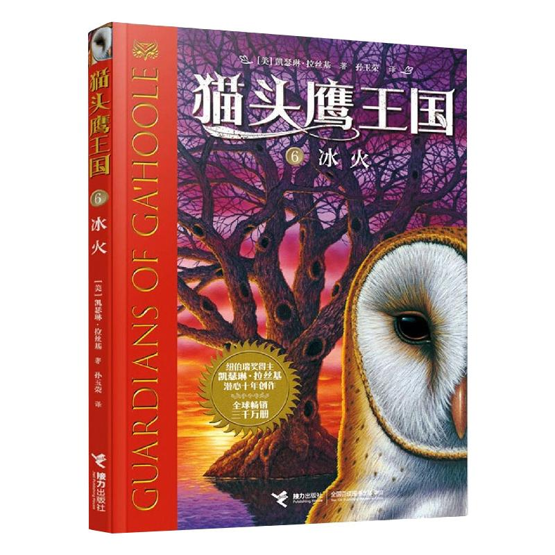 醉染图书冰火9787544870320高清大图
