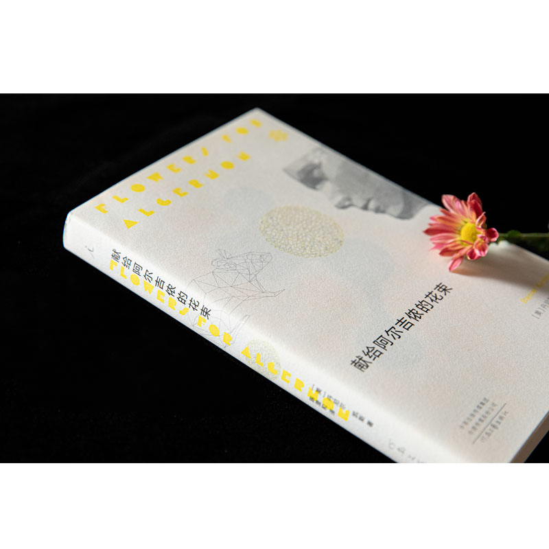 醉染图书献给阿尔吉侬的花束9787555913726高清大图