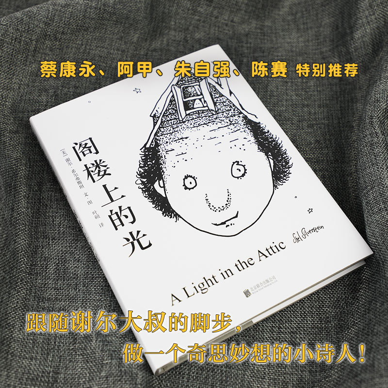 醉染图书阁楼上的光9787559624383高清大图