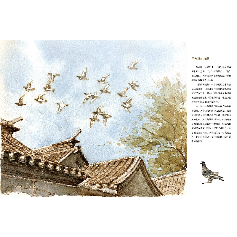 正版新书]四合院里的小时候谢小振9787501610891高清大图