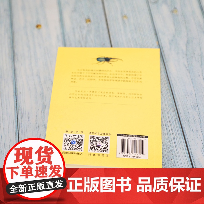 缤纷世界:甲虫与人类文明 人类故事 清华大学出版社 正版书籍高清大图