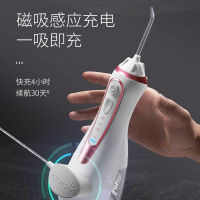 洁碧(Waterpik)冲牙器便携式水牙线洗牙器牙齿冲洗器家用冲牙器多喷头 正畸适用手持式小蛮腰 玫瑰金 GS9-14