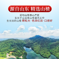 庄民 山楂干120g/罐 片片精选好货 颗颗中心圈无籽穿心 茶叶花果茶泡水