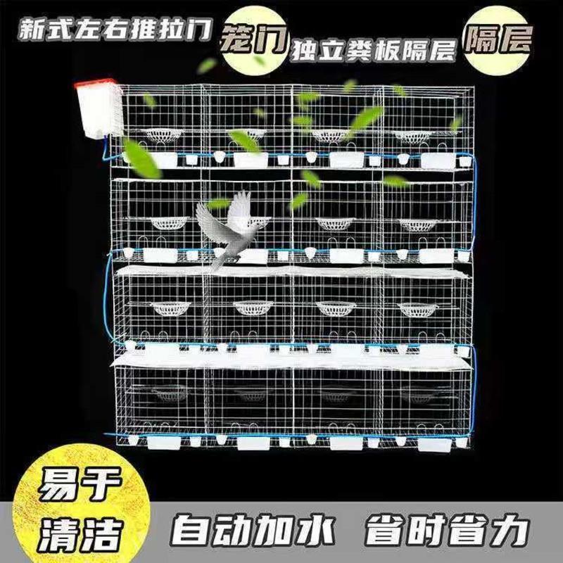 加粗4位裸笼(1米) 加粗鸽子笼养殖笼鸽子用品用具大号肉鸽繁殖配对鸽子笼子家用鸽棚