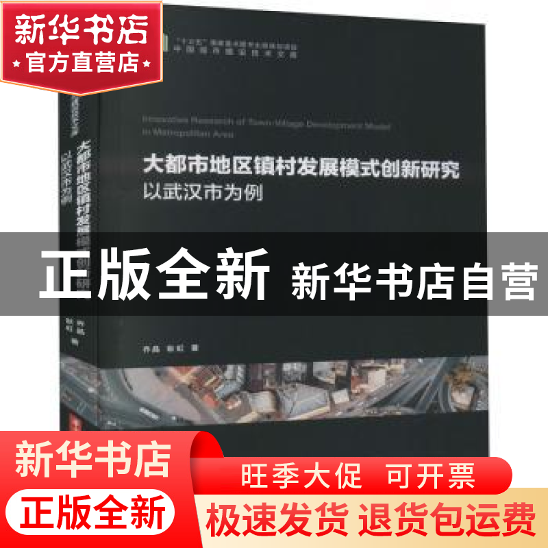 正版 大都市地区镇村发展模式创新研究(以武汉市为例)/中国城市建高清大图