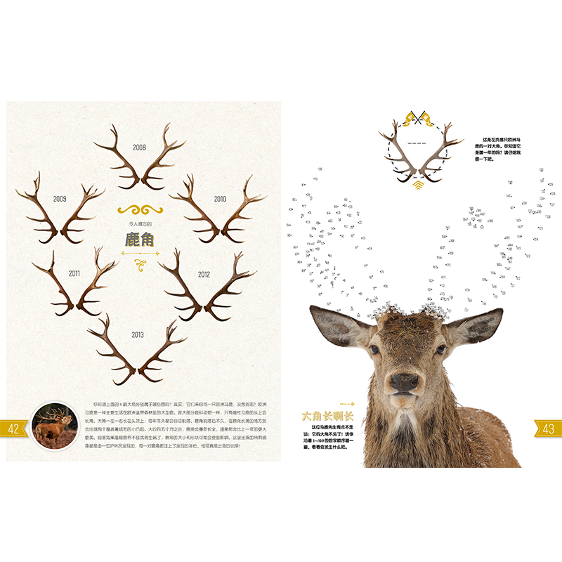 《我的自然游戏书》 [正版]东方娃娃自然科普《我的自然游戏书》6-12岁儿童书籍童书植物和动物之旅高清大图