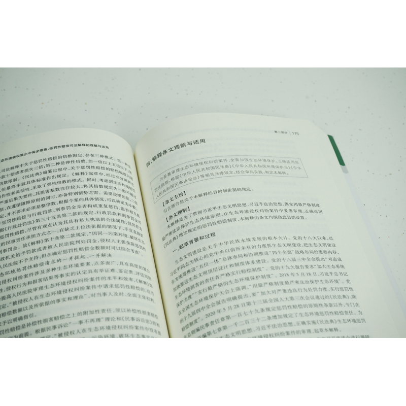 最高人民法院生态环境侵权禁止令保全措施、惩罚性赔偿司法解释的理解与适用