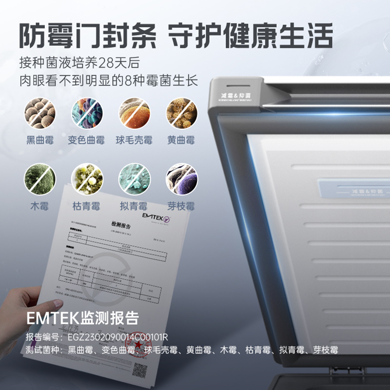 澳柯玛(AUCMA) 100升家用卧式冷柜冰柜小冰箱 阻霜减霜 合金内胆 无界天际线 BC/BD-100HSNE