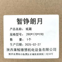 智铮朗月 纸箱 290*170*190mm 个