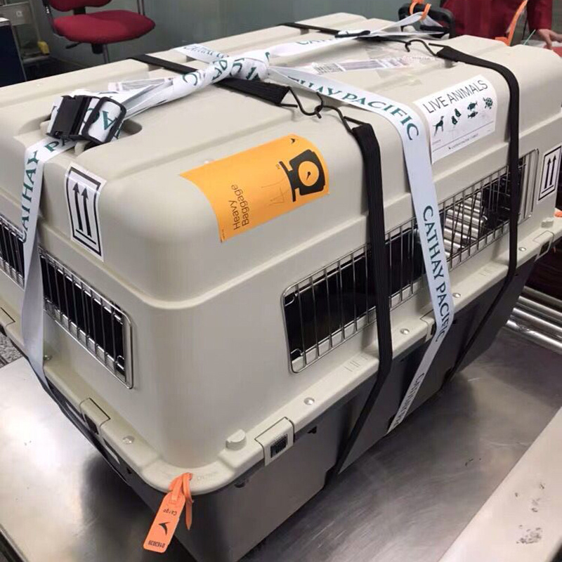 宠物航空箱狗旅行箱猫咪泰迪金毛托运空运箱