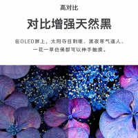 苏宁宜品&创维 55S81 55英寸超薄OLED 悬浮全面屏电视