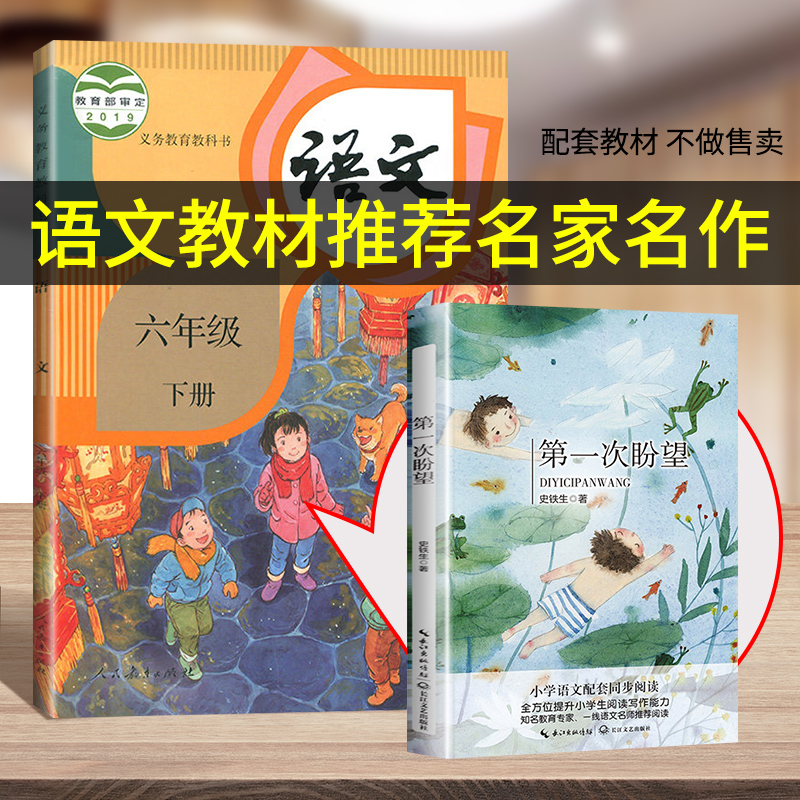 [正版]第一次盼望 史铁生 著 6年级 小学语文教科书同步阅读 家史铁生献给孩子们的童年之歌追寻成长的动人往事 感恩生高清大图