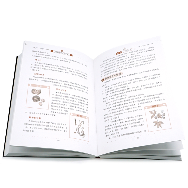 [正版] 图解野外生存手册 荒野求生户外生存知识旅行图书籍 教你学会在各种险恶处境中的求生之道 一看就懂一学就会的野外高清大图