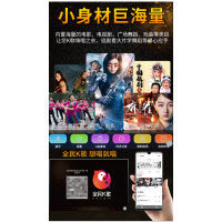 TEMEISHENG 特美声QX-0879户外视频音响显示屏家用KTV一体机唱歌便携蓝牙演唱音箱 QX-0879 双系统