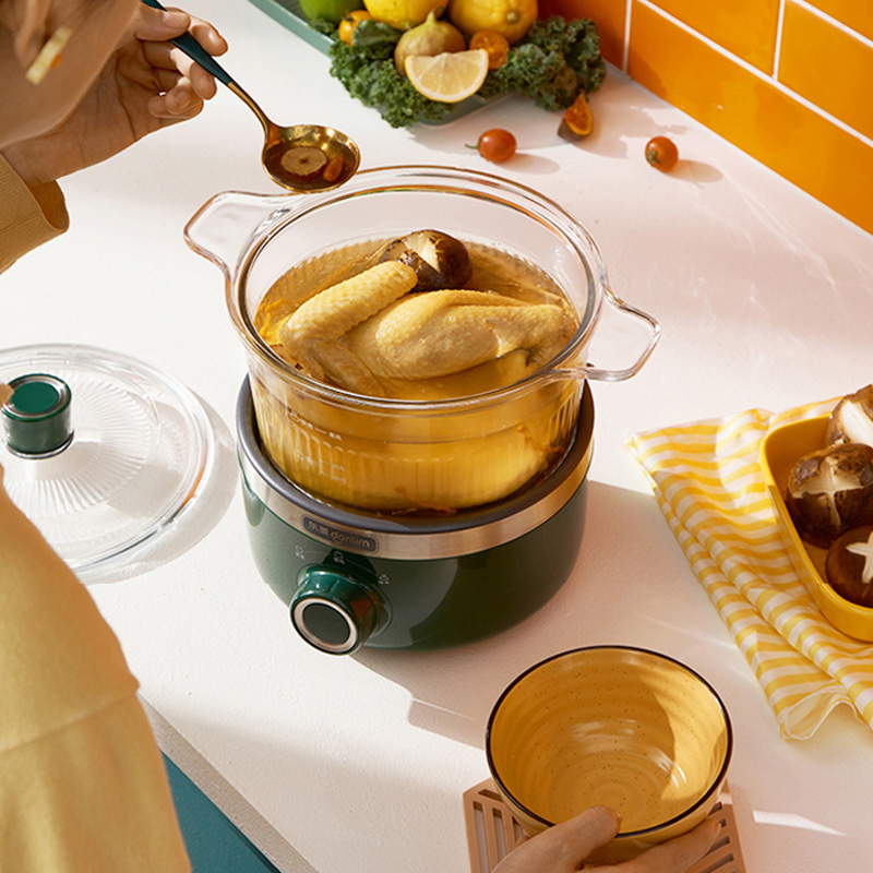 东菱 DL-9002 养生锅 2.5L(个)高清大图