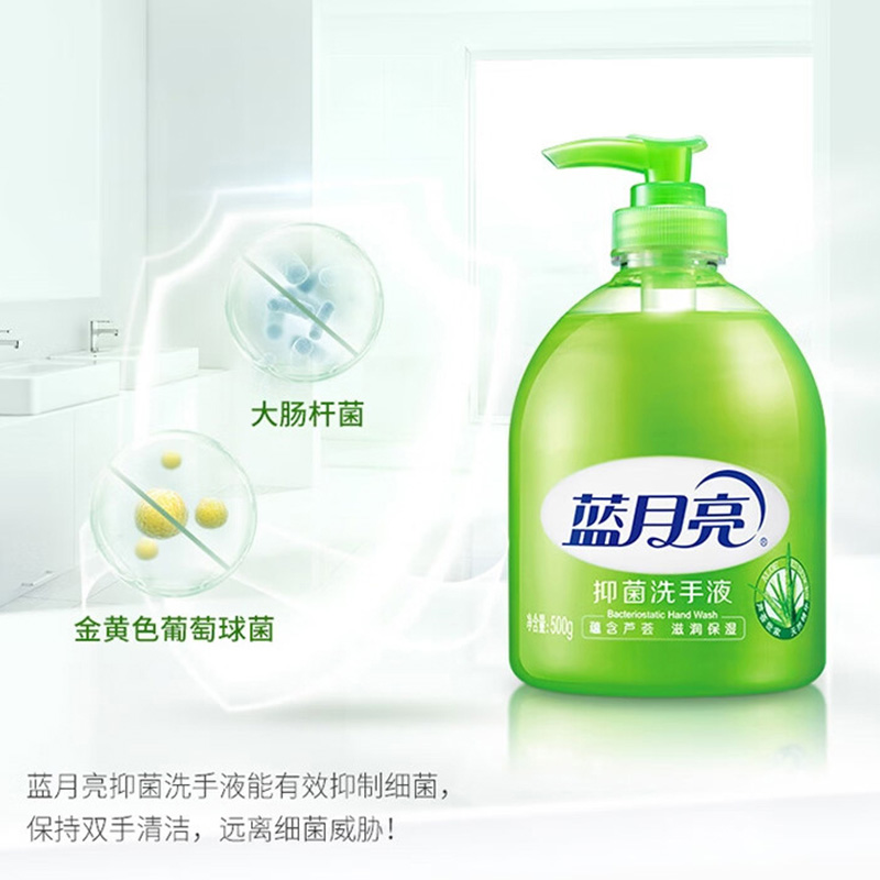 蓝月亮洗手液500g*12瓶泡沫丰富滋润保湿芦荟80000273高清大图