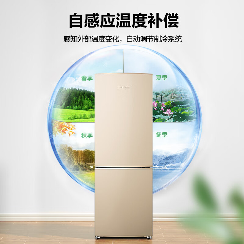 容声(Ronshen)175升双门两门小冰箱家用小型节能租房宿舍实用小巧不占地双温区保鲜BCD-175D16D自动低温