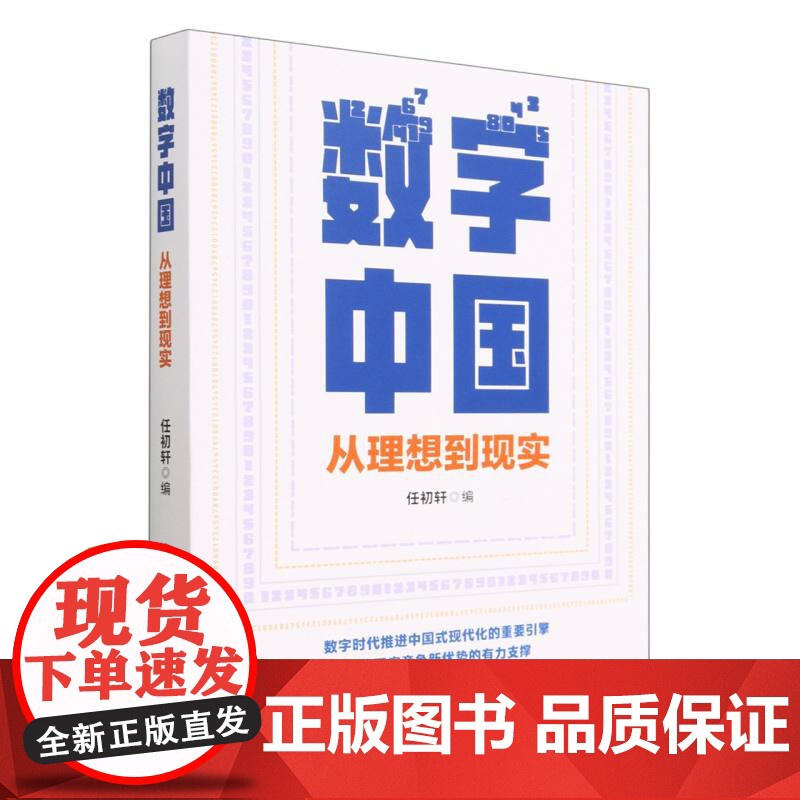 数字中国:从理想到现实高清大图