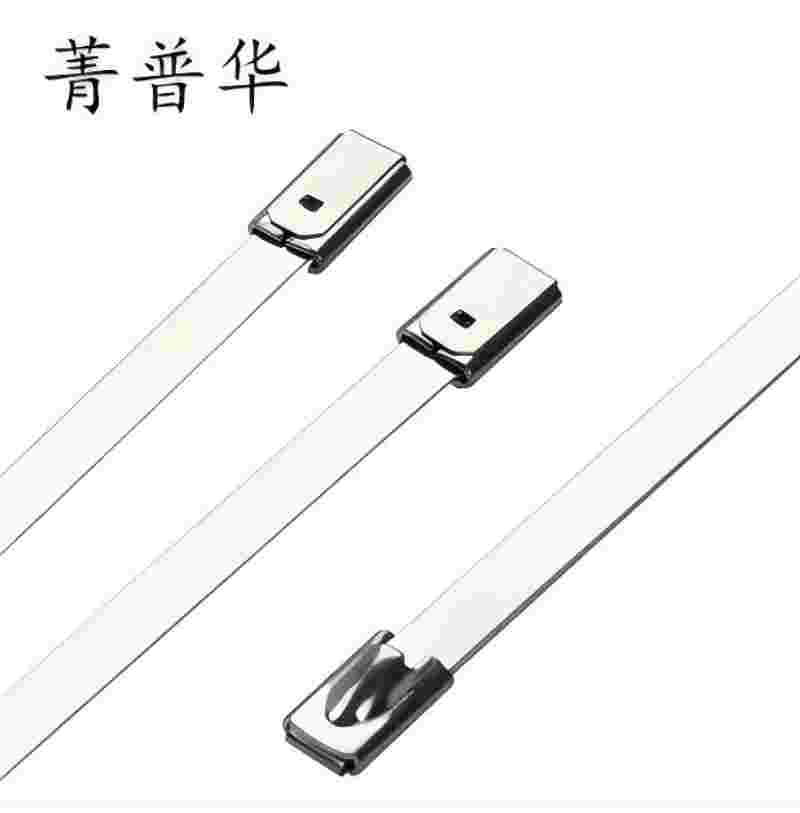 菁普华304材质不锈钢扎带 宽度8mm长300mm 厚度0.25mm根高清大图