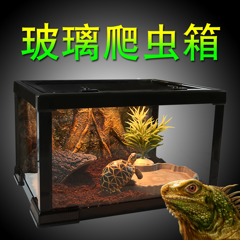 透明玻璃爬虫箱陆龟蜘蛛蝎子蜥蜴角蛙守宫昆虫饲养箱乌龟缸玻璃箱高清大图
