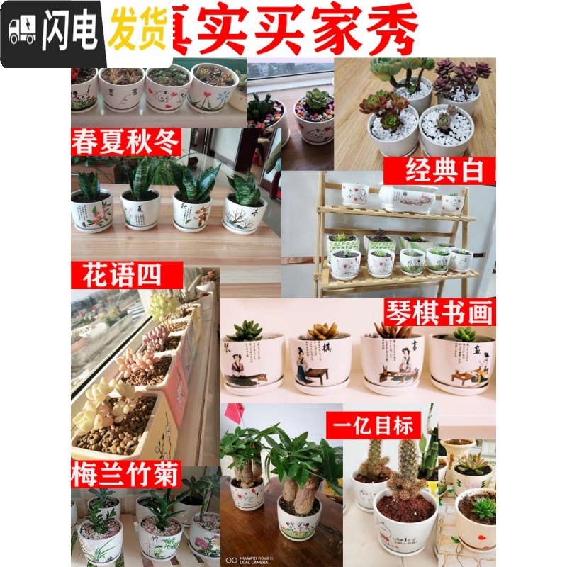 三维工匠多肉花盆陶瓷带托盘创意可爱套装组合粗陶小号个性 紫色XH-J2[2个 中等花盆容器