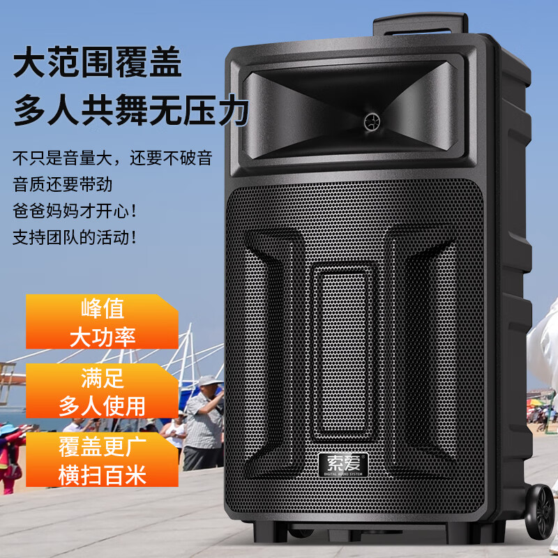 索爱(soaiy)SA-T21 广场舞大功率低音炮便携户外k歌电木吉他乐器音箱蓝牙拉杆音响 单麦高清大图