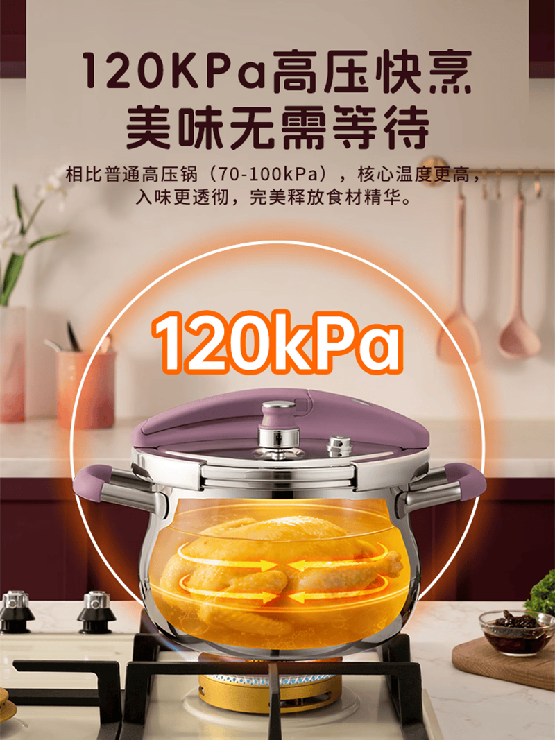 康巴赫(KBH)康巴赫真钛系列纯钛可立高压锅22cm(紫色)KBT-Z22L高清大图