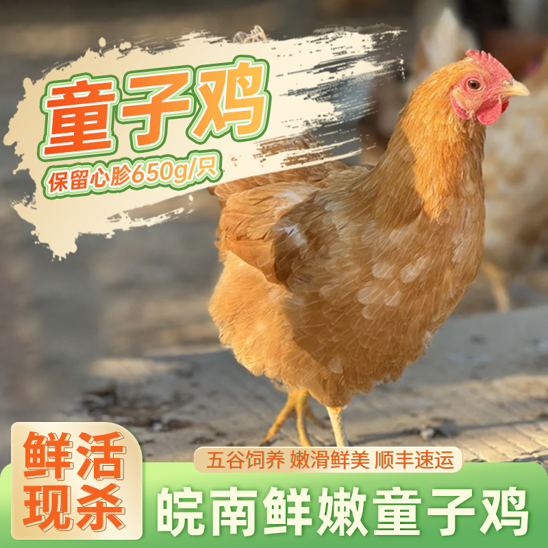 【苏鲜生推荐】三物纪 皖南童子鸡650克/只 2只装 农家慢养走地鸡新鲜现杀整只顺丰发货