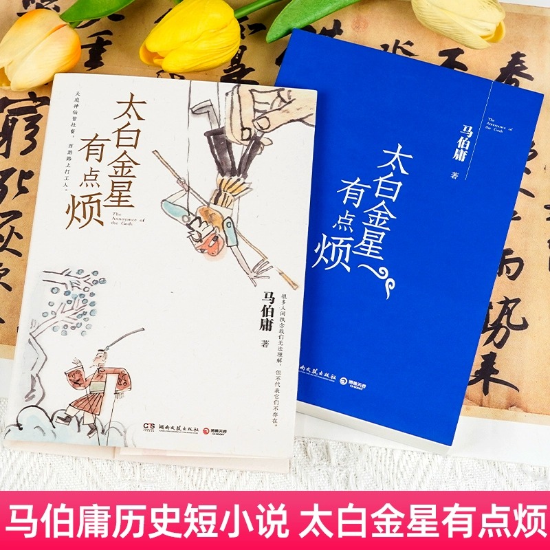 [正版]太白金星有点烦 天庭神仙皆社畜 西游路上打工人 历史短小说 马伯庸见微系列口碑新作长安的荔枝同类书籍青少年现当高清大图