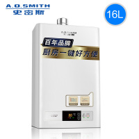 A.O.史密斯(A.O.Smith)16升燃气热水器 家用恒温强排式洗澡天然气 大屏幕恒温 JSQ33-VT01