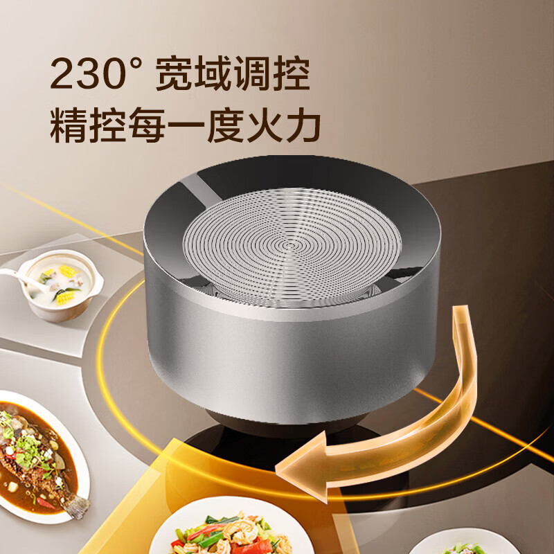 海信天然气燃气灶双灶台 家用台嵌两用5.2KW64%热效率灶具灶台JZT-E3高清大图