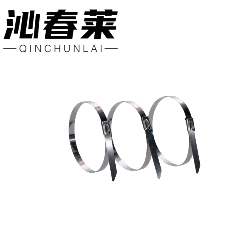 沁春莱不锈钢扎带4.6*500-100/包高清大图