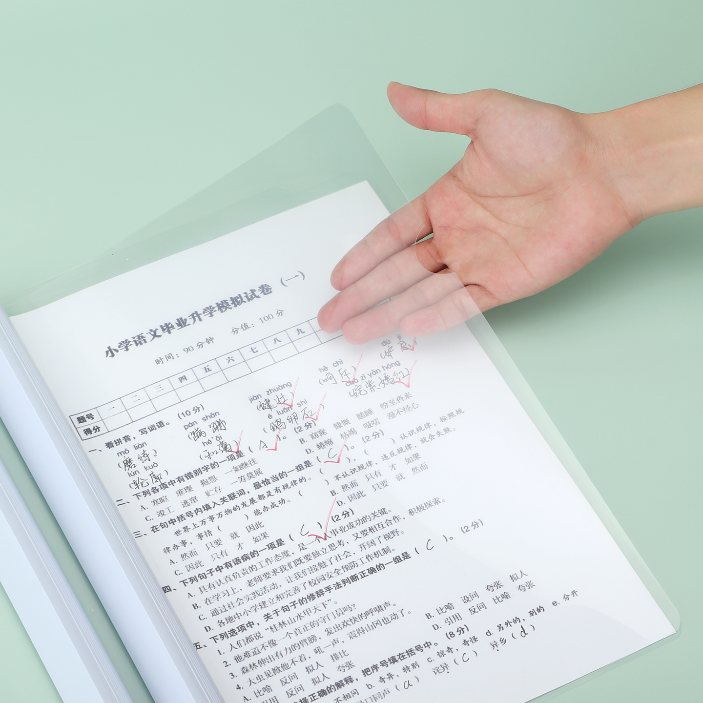 宝克(BAOKE) EP1264 A4抽杆夹(25mm) 白色 5个/包 1包高清大图