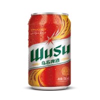 乌苏啤酒 WUSU红乌苏啤酒330mlx24罐装易拉罐装 听装箱装 新疆大乌苏啤酒新疆特产网红啤酒