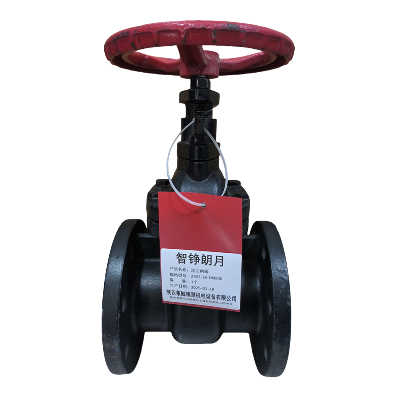 智铮朗月 法兰闸阀 Z45T-16 DN200 个