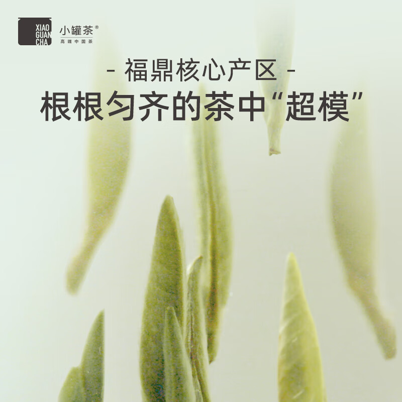 小罐茶特级白毫银针福鼎白茶北路银针收藏级茶叶礼盒80g 高端礼赠高清大图