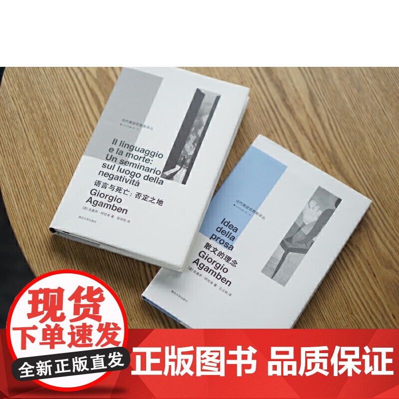 (当代激进思想家译丛)散文的理念 吉奥乔·阿甘本 南京大学出版社 正版书籍高清大图