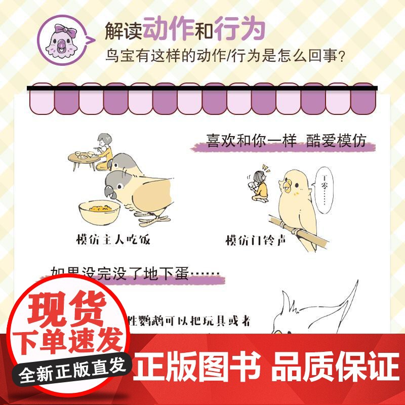 [全2册]diyi次养鹦鹉就恋爱了鹦鹉饲养图鉴+养鹦鹉就懂它鹦鹉行为图鉴 新手入门养鸟书籍鹦鹉饲养手册鹦鹉书饲养书养殖养高清大图