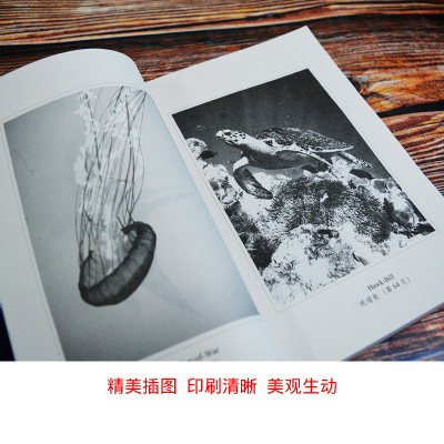 [扫码听音频]老人与海 中英对照音频版无删减 海明威著 英文版原版原著翻译中文译本英汉双语读物 世界名著小说英语书籍
